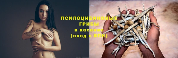 кокс Нея