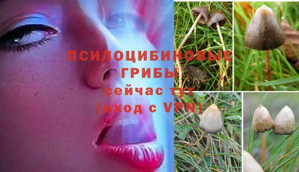 марки lsd Нефтекумск