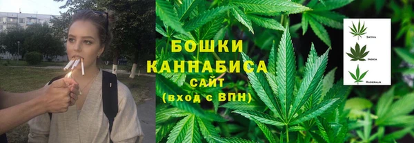 PSILOCYBIN Навашино