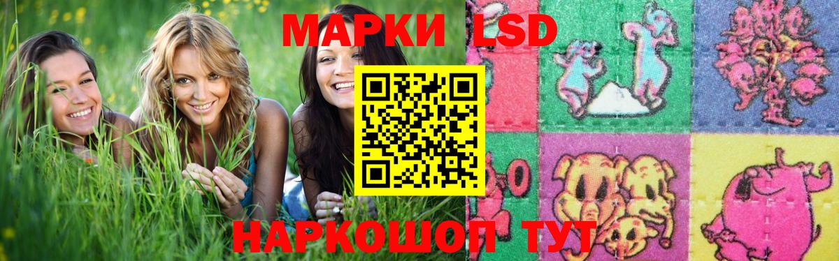 Лсд 25 экстази кислота  KRAKEN ONION  Вход с VPN  Полысаево  LSD-25 экстази кислота 
