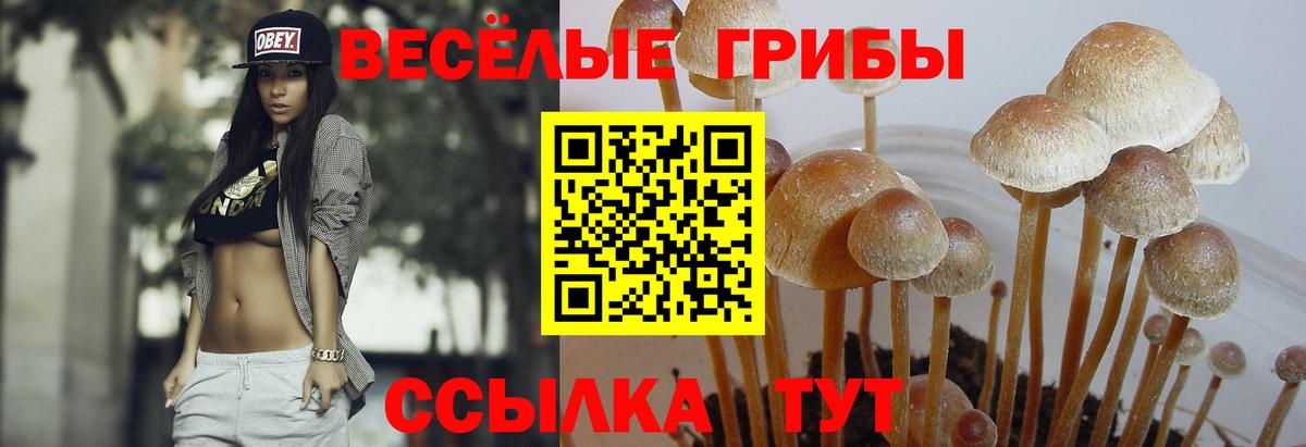 Полысаево  Псилоцибиновые грибы MAGIC MUSHROOMS  Псилоцибиновые грибы мицелий  Вход с VPN 