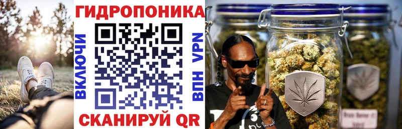 Каннабис планчик  купить наркоту  Полысаево 
